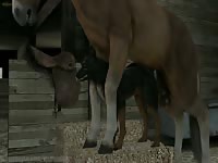 Big horse dick fucking a dog in beastiality 3D hentai