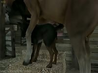 Zoophilia hentai porno of horse fucking a dog
