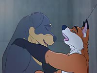 Furry gay dog sucking a muscular dog's hard dick before anal sex