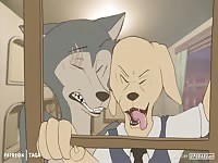 Poor little dog bitch got forcefully fucked by horny wild wolf 